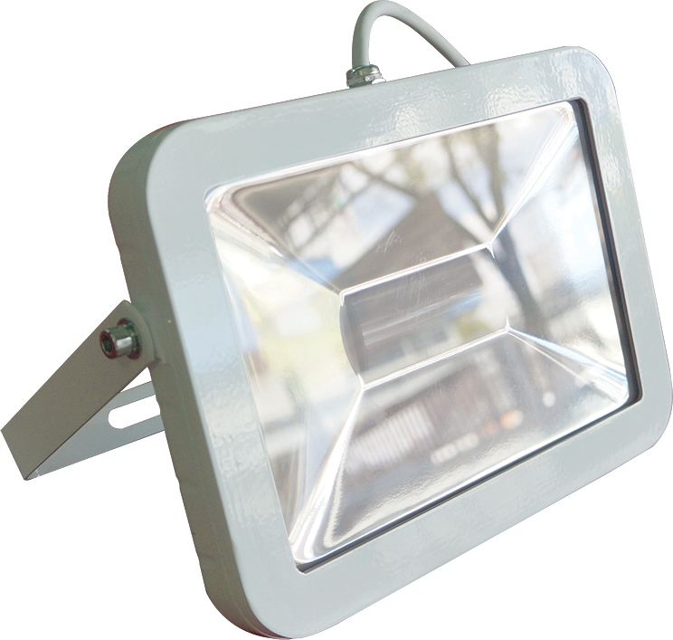 50W LED Metal Halide (White)